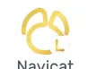 navicat ฟรีครับ ไม่ต้องหายาแก้ไอแล้วนะครับ