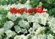 หยาด นภาลัย - รักพี่มีบาป (320KBpS)