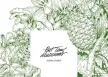 ขอเพลงวง part time musicians อัลบั้ม Guava Songs หน่อยครับ