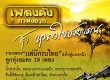 ศรเพชร ศรสุพรรณ - รวมเพลงแด่นักรบไทย (320KBpS)