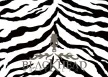 แบล็คเฮด - Vol.8 White Line (FLAC)