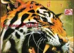 ปู พงษ์สิทธิ์ คำภีร์ -02 ชุด เสือตัวที่ 11 (พ.ศ.2534)