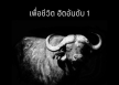 รวมศิลปิน - เพื่อชีวิต ฮิตอันดับ 1 (FLAC)