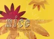 GMM - Nice 1 (FLAC)