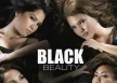 GMM - Black Beauty (FLAC)