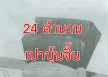 เปาบุ้นจิ้น กับ 24 ตำนาน ไหวพริบ/กลอุบาย การคลี่คลายปิดคดี