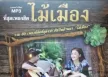 ที่สุดเพลงฮิต ไม้เมือง