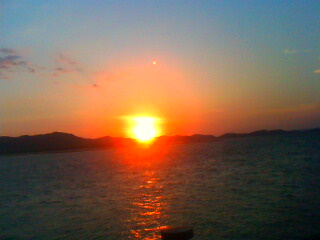 มันกำลังลงรู.jpg