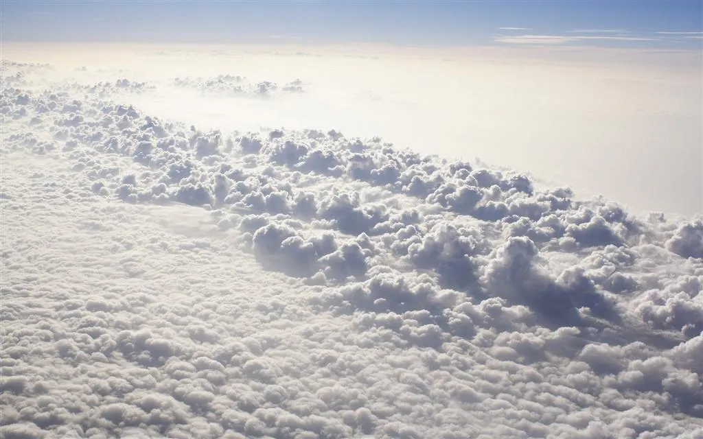 137469416_a12f7ff0fd_o (Large).webp