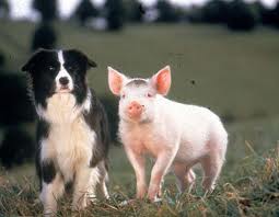 image001.jpg