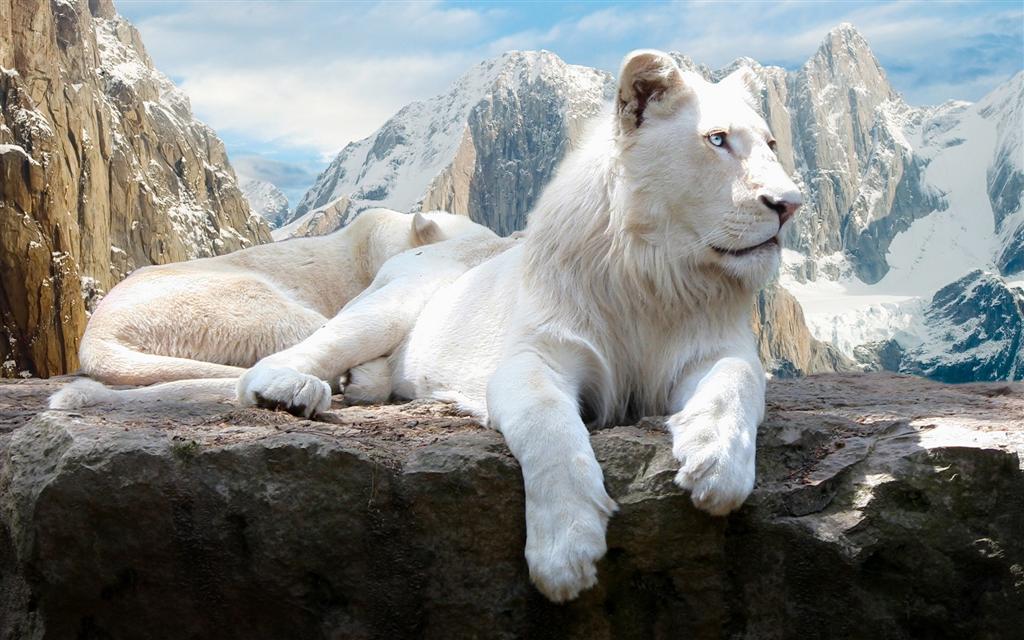 1 (1962).jpg