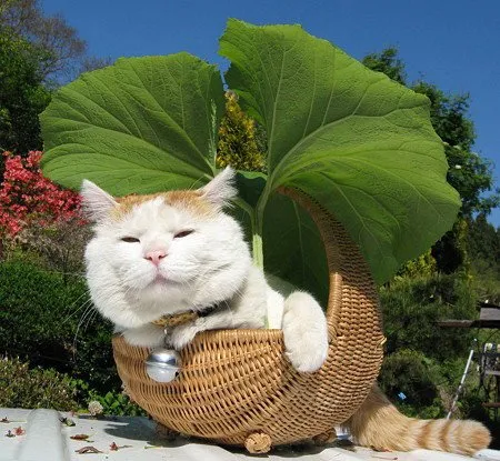 1 (215).webp