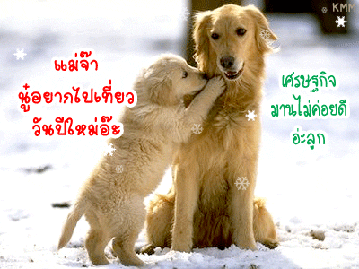 277ecddac40a632d8633894fb3b82675_1230621739.gif