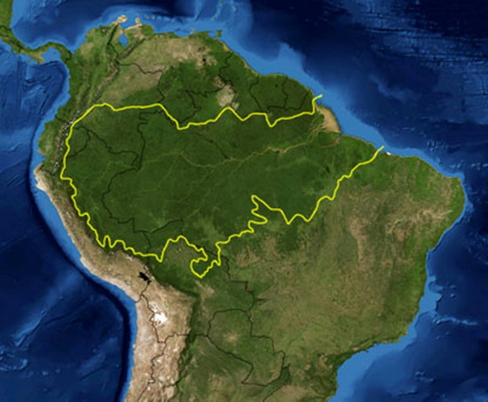 793441.jpg