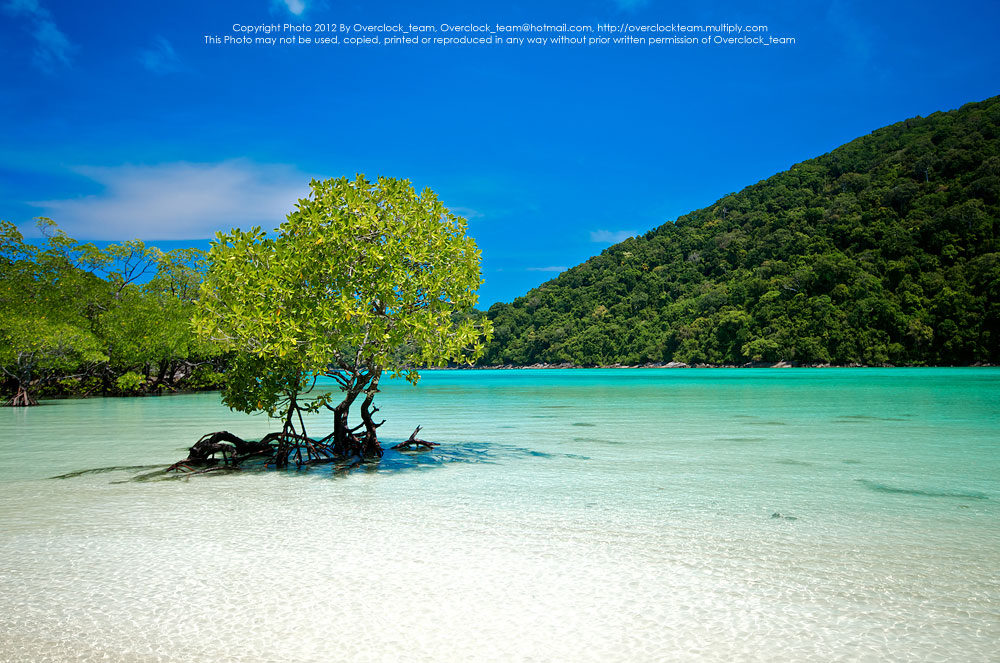 E11900104-7.jpg