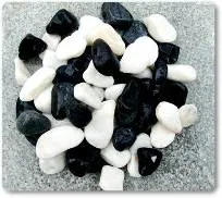 Black White.webp