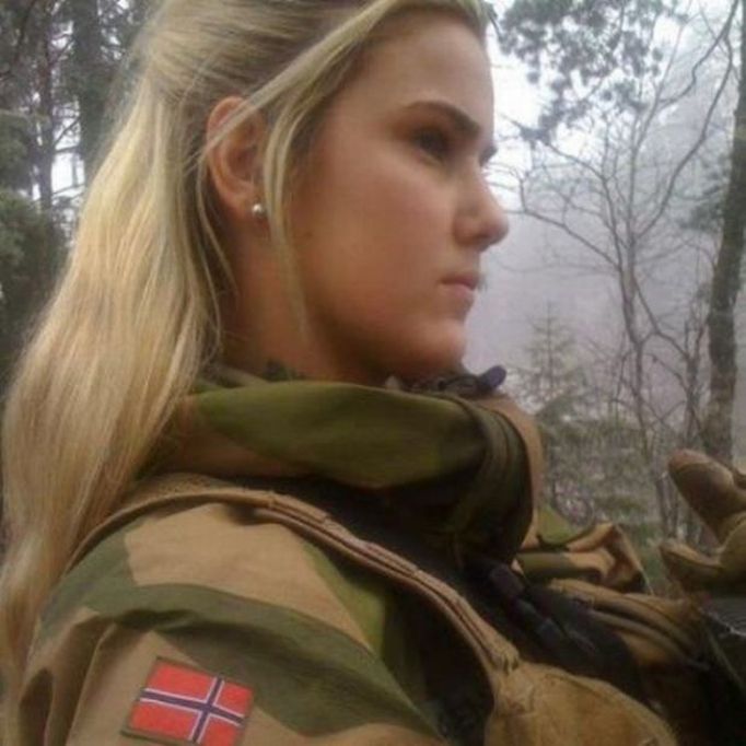 963358.jpg