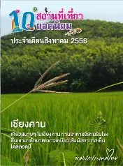 7.webp