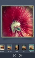 app4.jpg