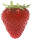 สตอเบอร์รี่.webp