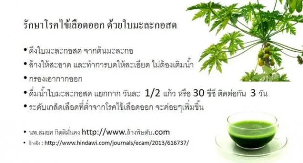 ไข้เลือดออก.webp