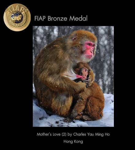 14Nature-Bronze-Medal-FIAP.jpg
