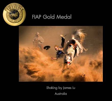 000000Open-Gold-Medal-FIAP.jpg