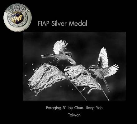 0000Open-Silver-Medal-FIAP.jpg