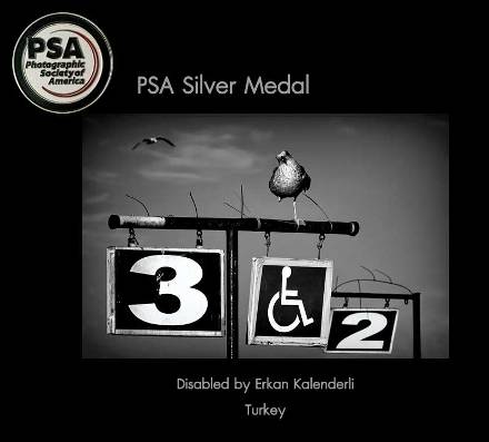 00000Open-Silver-Medal-PSA.jpg