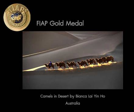 3Travel-FIAP-GOLD-MEDAL.jpg