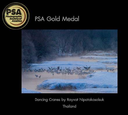 2Travel-Gold-Medal-PSA.jpg