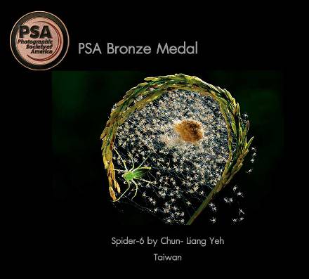 13Nature-Bronze-Medal-PSA.jpg