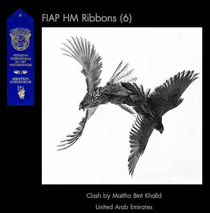3.1Open-Ribbon-PSA.jpg