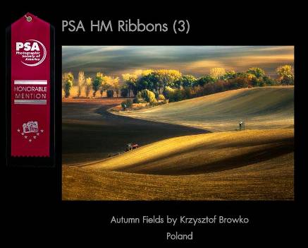 8.1Travel-PSA-Ribbons.jpg