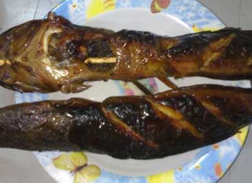 ปลาดุกย่าง.jpg