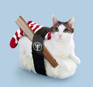 cat.4jpg.jpg