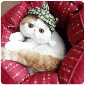 kapook_world-430505.jpg