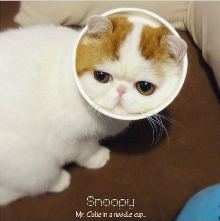 kapook_world-430514.jpg