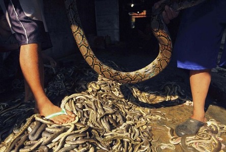 kapook_world-429806.jpg