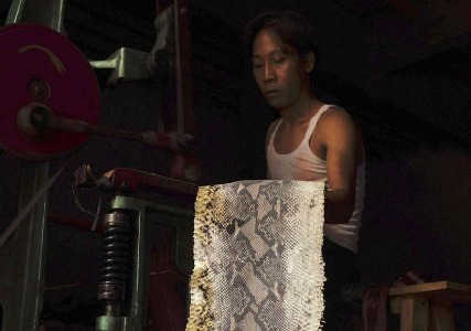 kapook_world-429814.jpg