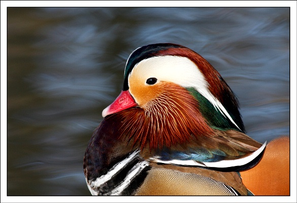 Mandarina-Duck-071113-01.jpg
