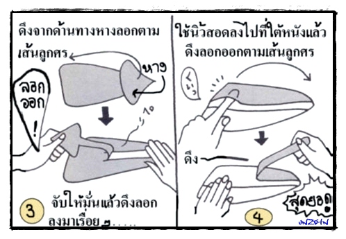 b.jpg