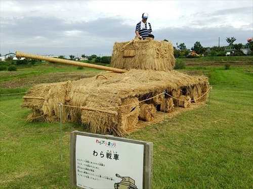 358081.jpg
