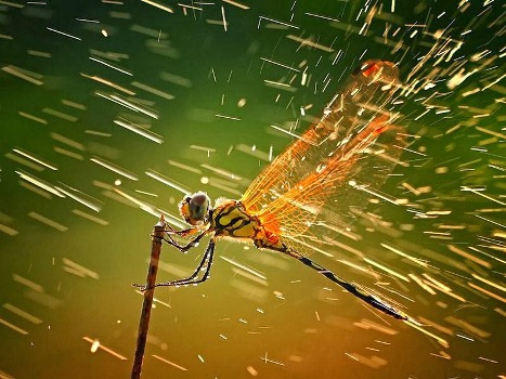 kapook_world-497957.jpg