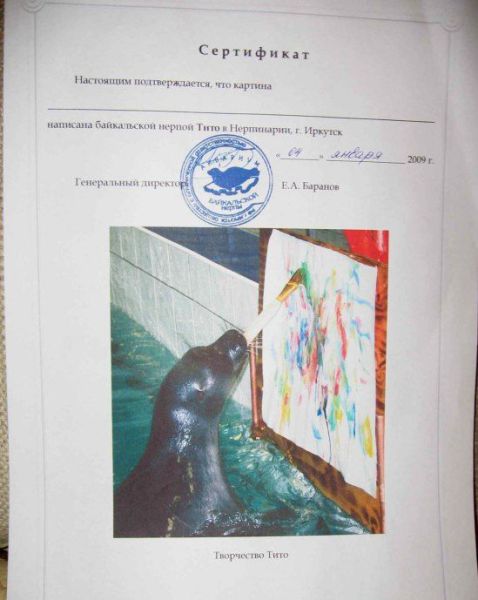 1216520.jpg