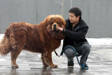 kapook_world-533419.jpg