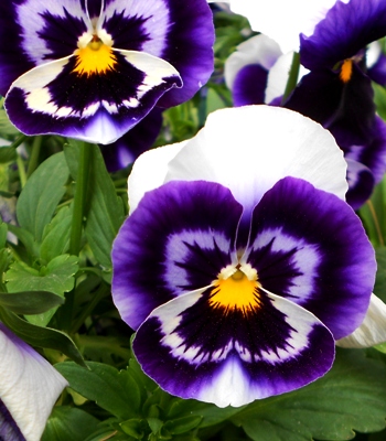 DSCN5943.jpg