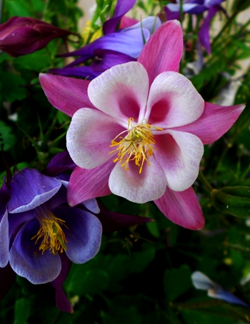 DSCN5947.jpg