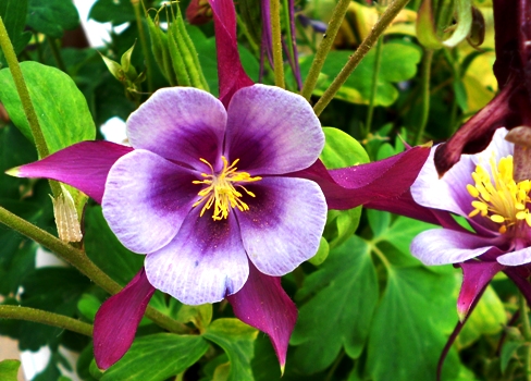 DSCN5978.jpg