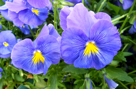 DSCN5982.jpg